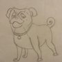 Carlino