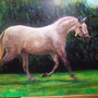 Caballo al oleo