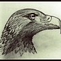 Águila 