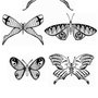 mariposas