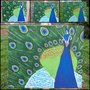 Pavo Real