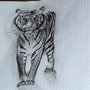 tigre