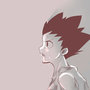 Gon Freecss 