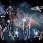 Estrelleros