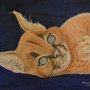 Caracal con lápices de colores