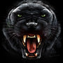Pantera Negra