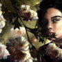 Entre Flores