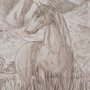Boceto caballo a lapiz