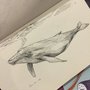 Ballena a tinta