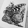 Dragon Mariposa 