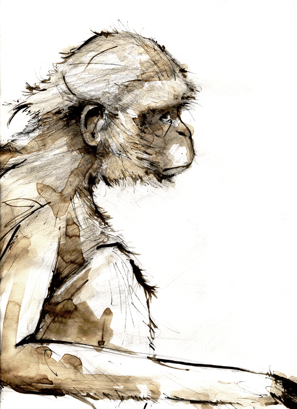 Monkey_ink_and_coffee_14307.jpg