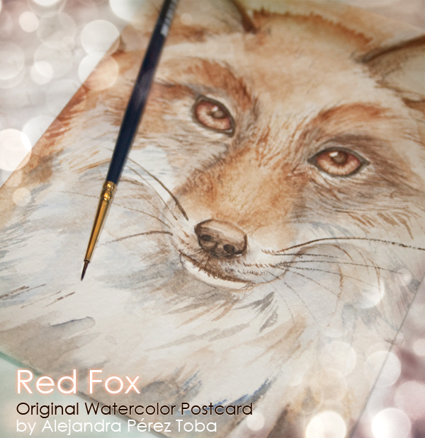 red_fox_50588.jpg