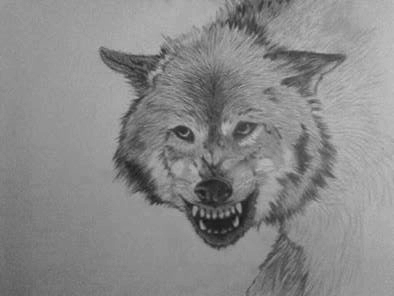 lobito_soplador_en_proceso_76203.jpg