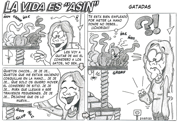 LVEA_230721_GATADAS_507782.jpg