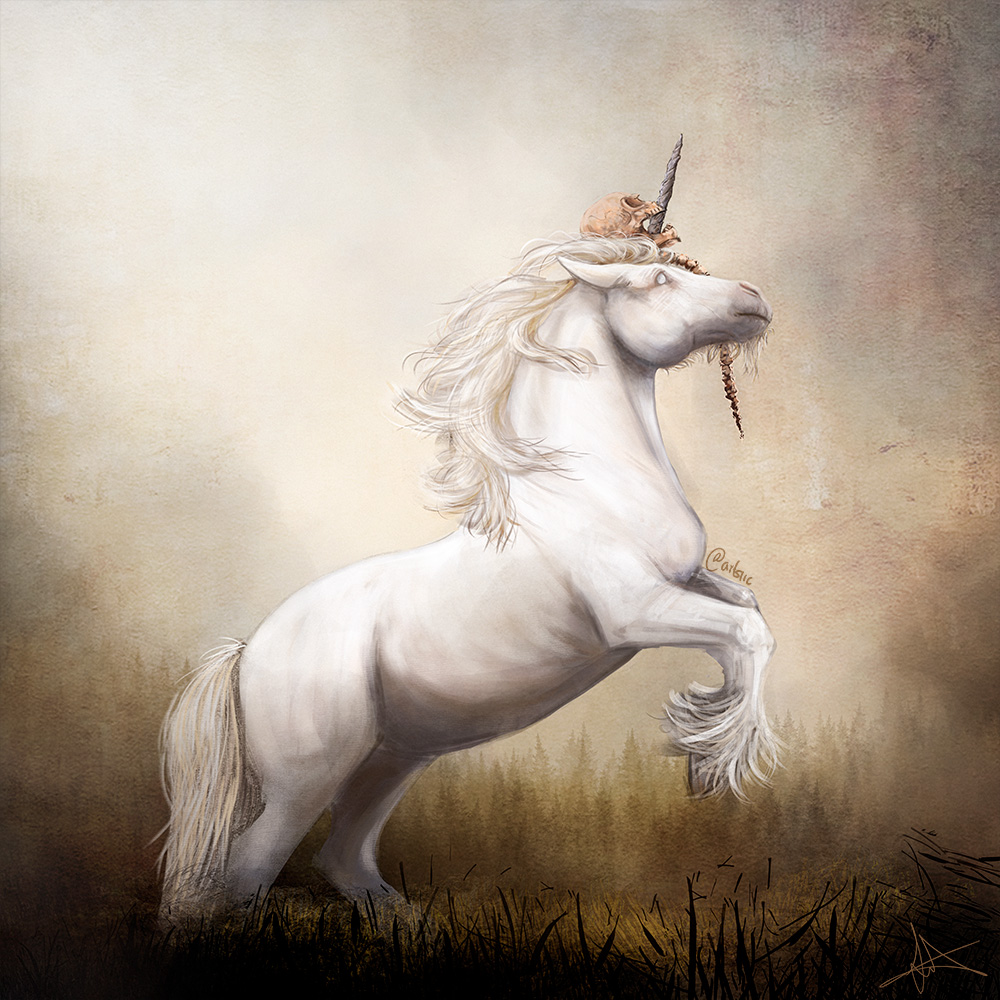 unicorn_fin_1000px_528896.jpg